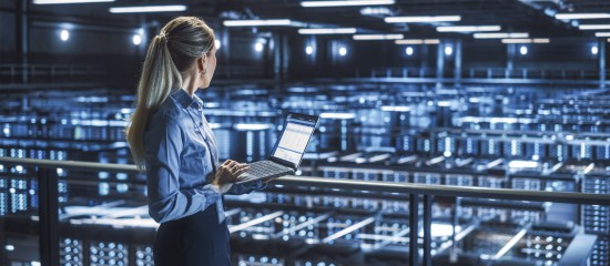 Les « 7 Magnifiques »